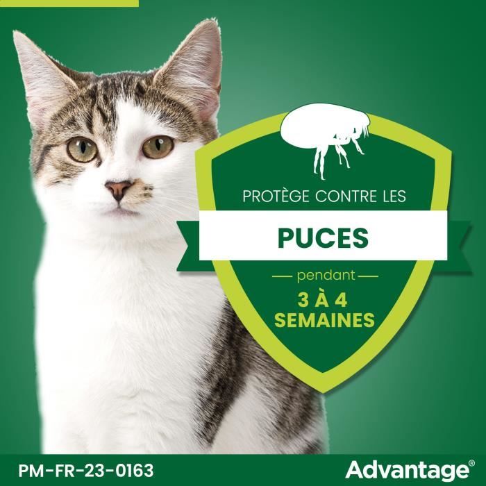 ADVANTAGE Flea Solution for Cats and Rabbits up to 4 kg - 4 Pipettes
