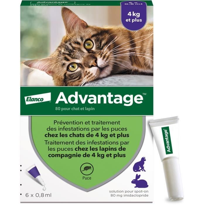 ADVANTAGE Solution Antipuce for Cats and Rabbits - 4 kg - 6 Pipettes