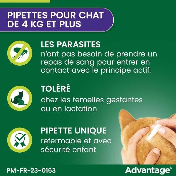 ADVANTAGE Solution Antipuce for Cats and Rabbits - 4 kg - 6 Pipettes