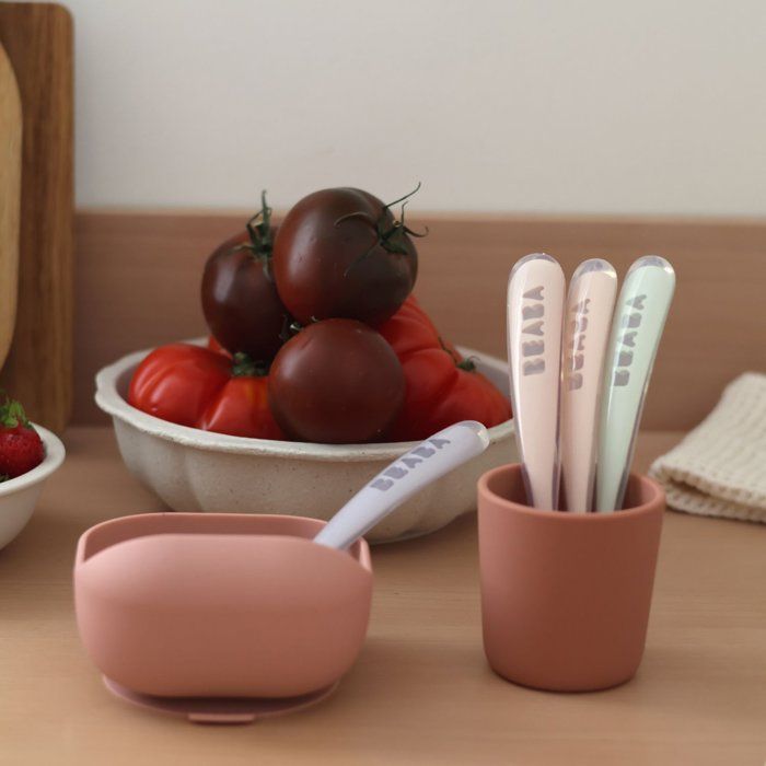 BEABA Set of 4 Ergonomic Silicone Spoons for 1st Age - Windy Blue, Eucalyptus Green, Light Mist, Old Pink