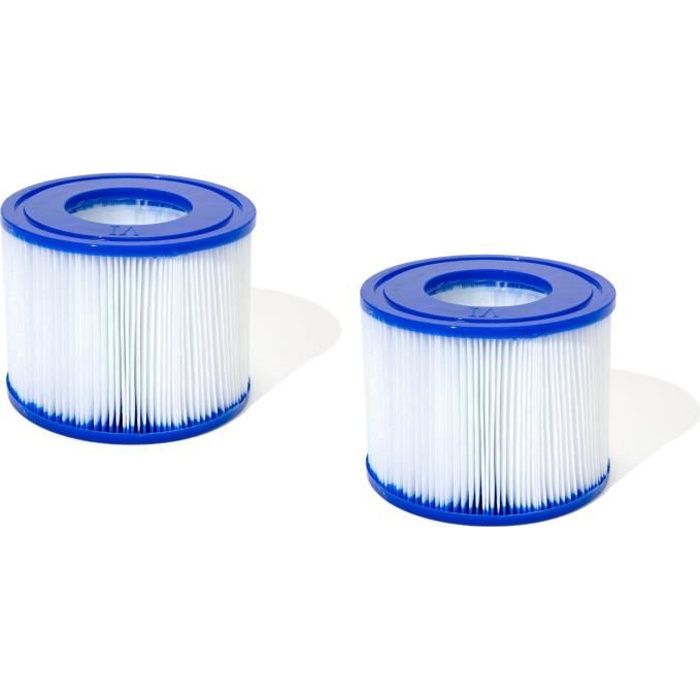 BESTWAY Type VI Filter Cartridges - Pack of 2 - 60311