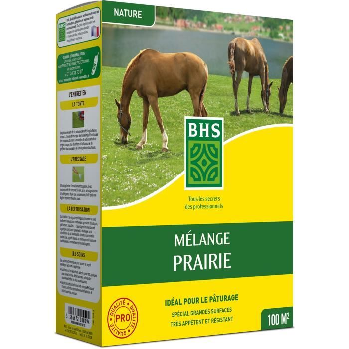 Semence de Gazon - BHS - Mélange Prairie 1kg | 100m² | Pour zones extensives et pâturage | Installation rapide, résistant