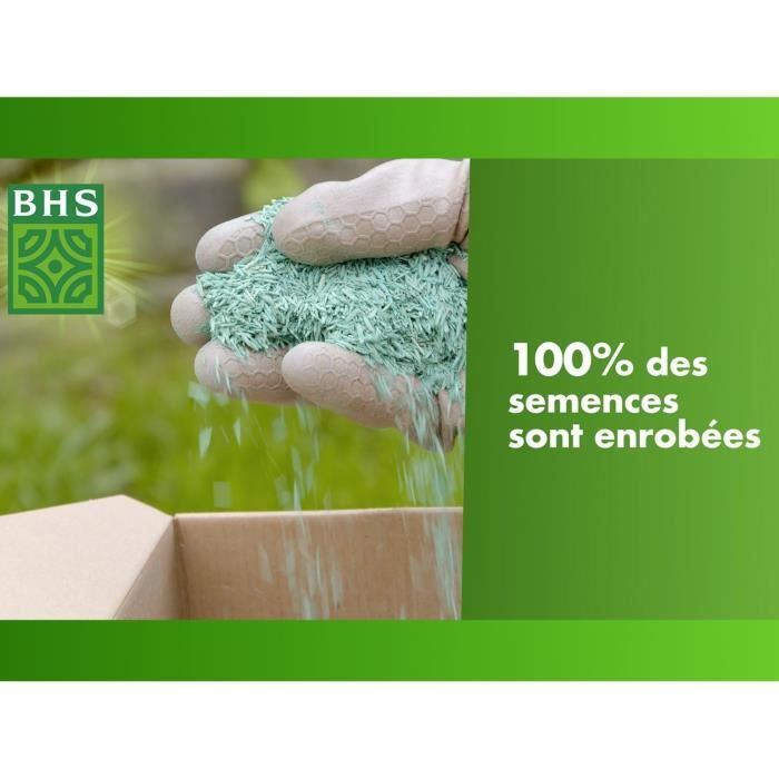 Semence de Gazon - BHS - Mélange Prairie 1kg | 100m² | Pour zones extensives et pâturage | Installation rapide, résistant
