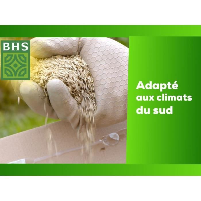 BHS Grass Seed - Southern Hardy Grass - 1 kg | 40 m²