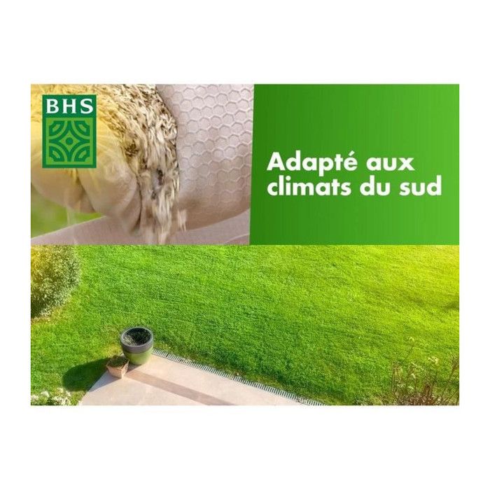 BHS Hardy Grass Seed - 10 kg - Fast and Even Establishment