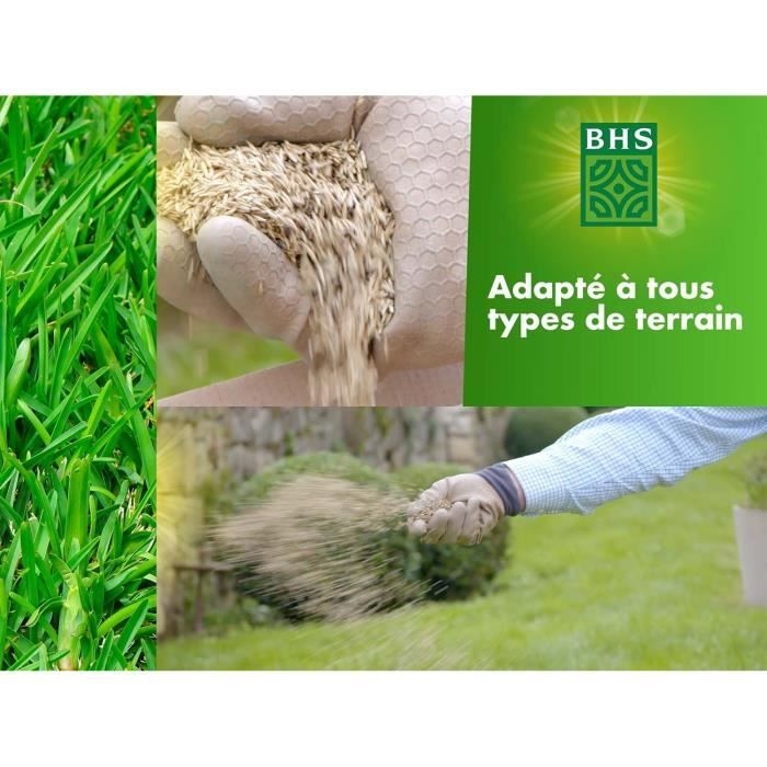 Semence de gazon - BHS - Gazon Rustique 1kg - Plus résistant et mieux protégé - Rapide et Durable - Tous Types de Terrain et Climats