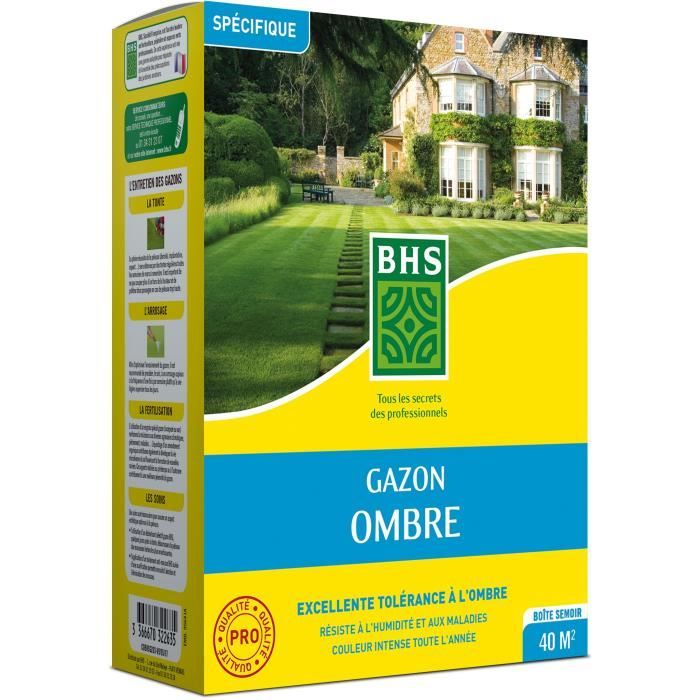 BHS Grass Seed - Shade Grass - 1 kg 40m² Resistant to low light
