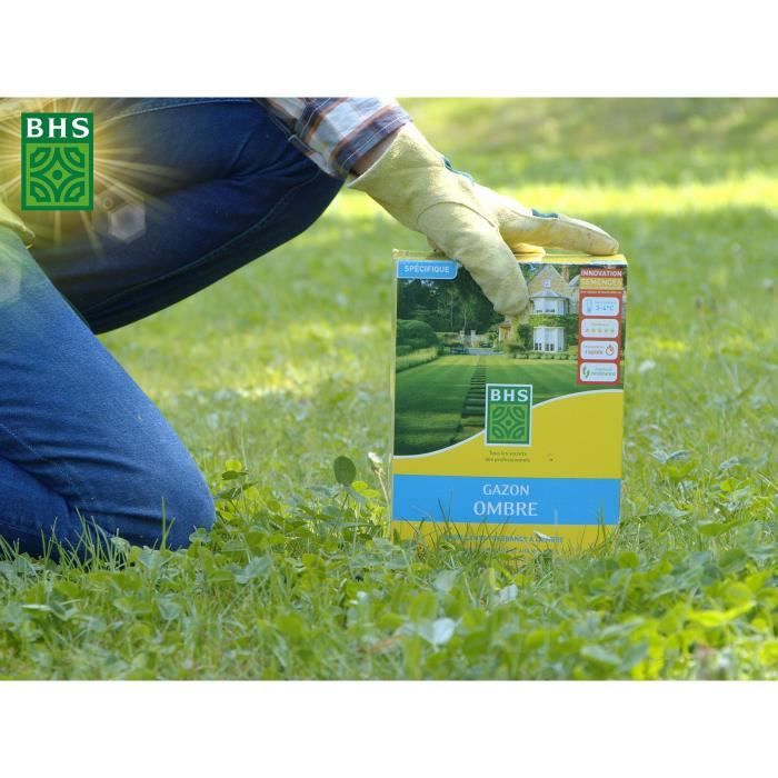 BHS Grass Seed - Shade Grass - 1 kg 40m² Resistant to low light