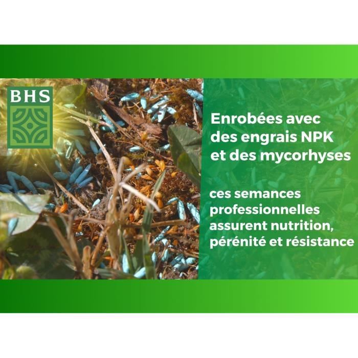 English Turf - BHS - 10 kg for High-End Gardens