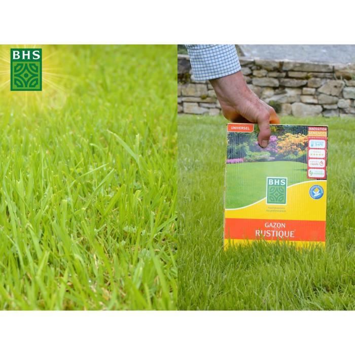 BHS Hardy Grass Seed - 3 kg Box - Weather Resistant - Sun - Red