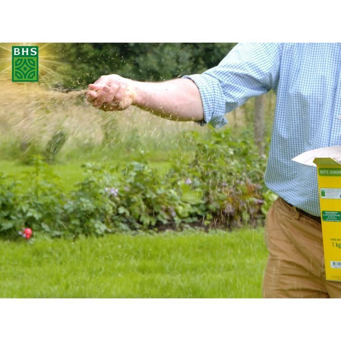 Semence de Gazon - BHS - Gazon Soleil 10kg |  Résistant au climat méditerranéen et a la sécheresse