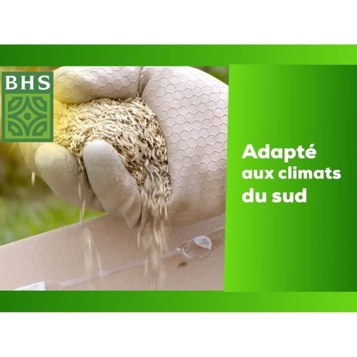 BHS Grass Seed - Seaside Grass 10 KG - Wind, Drought, Salinity Resistant