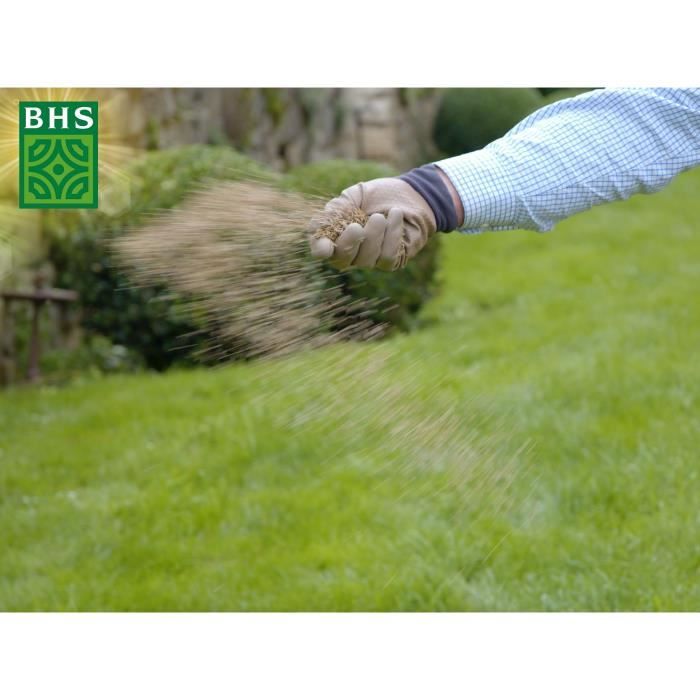 BHS Grass Seed - Lawn Overseeding 1 KG