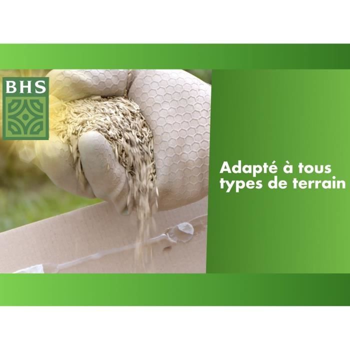 BHS Grass Seed - Lawn Overseeding 1 KG