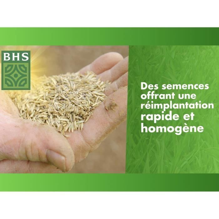 BHS Grass Seed - Lawn Reseeding 3 KG