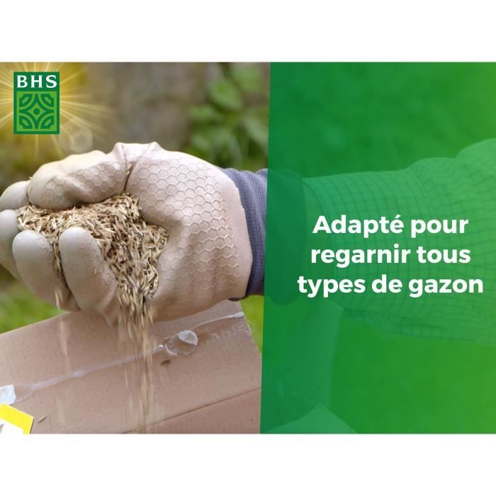 BHS Grass Seed - Lawn Reseeding 3 KG