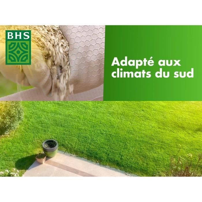 BHS Grass Seed - Hardy Southern Grass - 10 kg - Drought Resistant