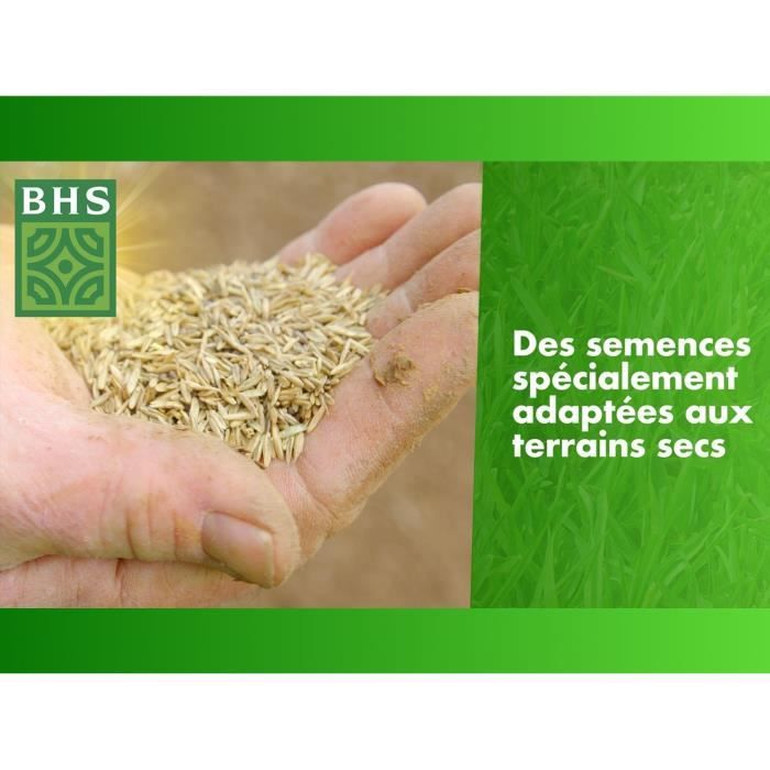 BHS Grass Seed - Overseeding Dry Ground - 3 kg - Durable