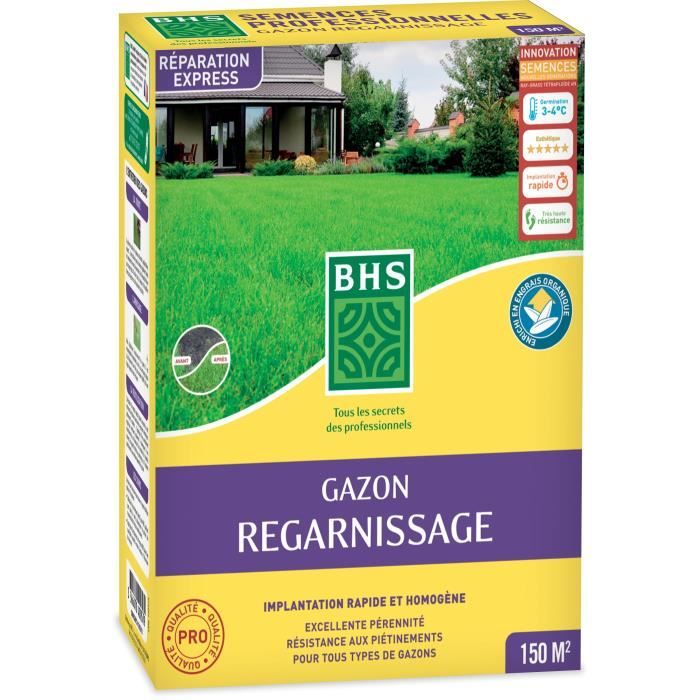 BHS Grass Seed - Overseeding Dry Ground - 3 kg - Durable