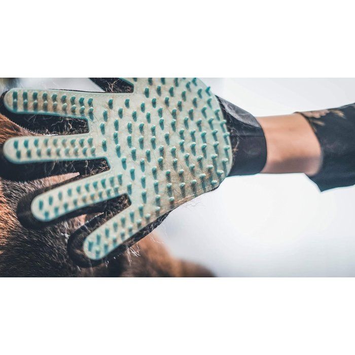 VETOCANIS 4-in-1 Silicone Grooming Glove for Cats and Dogs