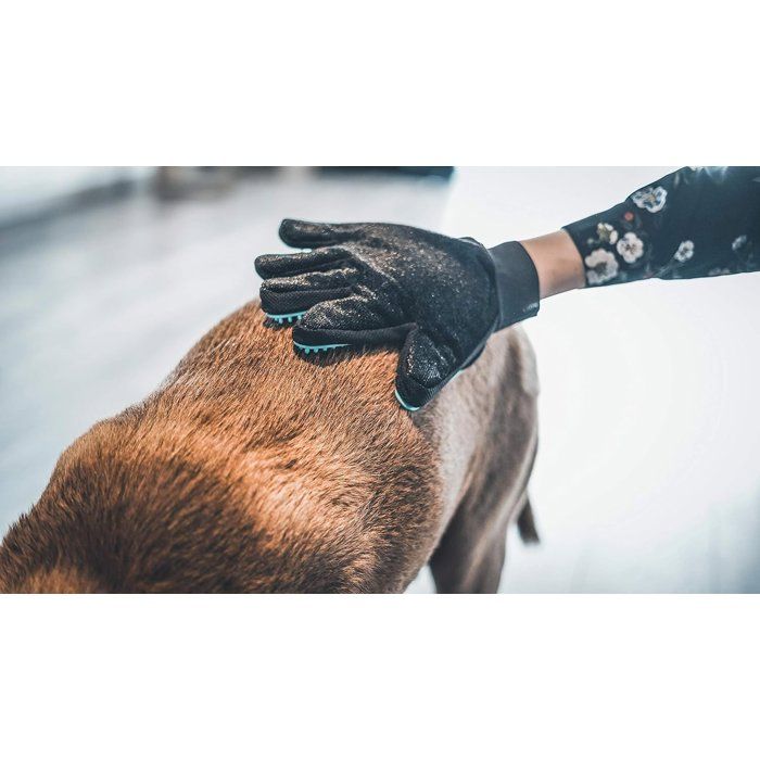 VETOCANIS 4-in-1 Silicone Grooming Glove for Cats and Dogs