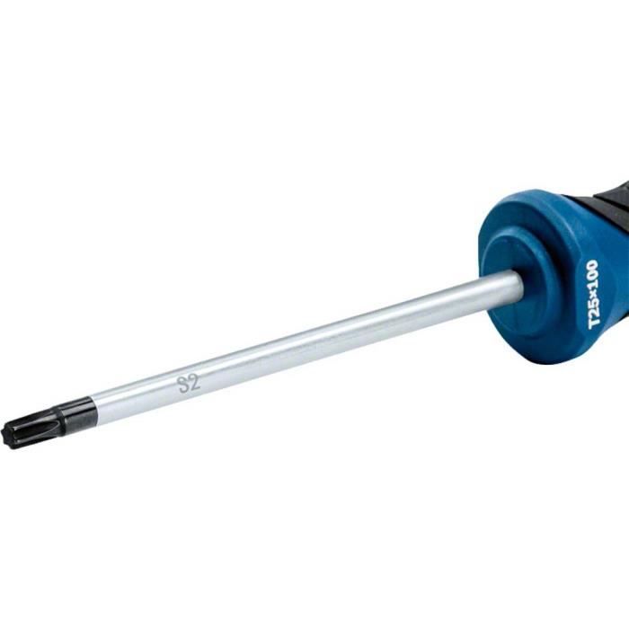 BOSCH Professional TX 25x100 Screwdriver - S2 Tool Steel Shaft - Ergonomic Handle