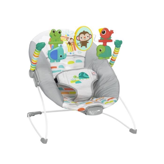 BRIGHT STARTS Baby Bouncer Animals - Soothing Vibrations, Activity Arch