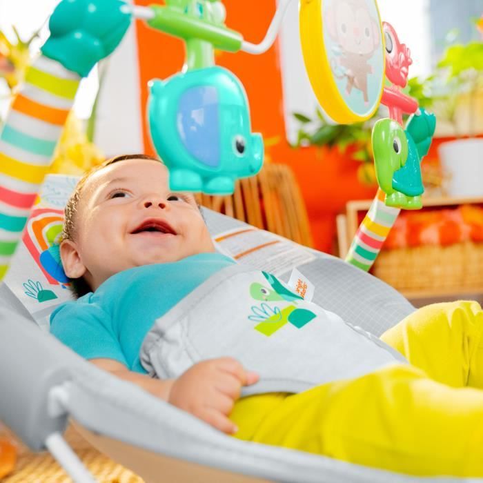 BRIGHT STARTS Baby Bouncer Animals - Soothing Vibrations, Activity Arch