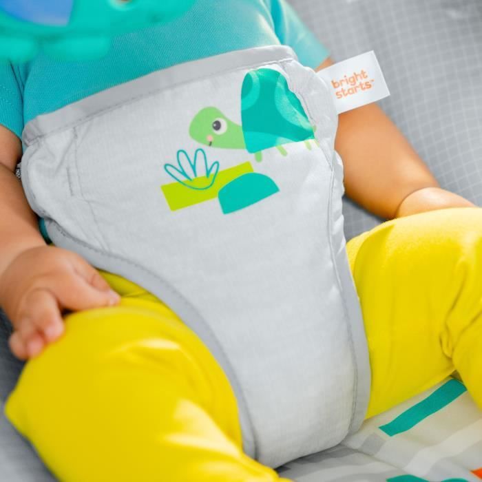 BRIGHT STARTS Baby Bouncer Animals - Soothing Vibrations, Activity Arch