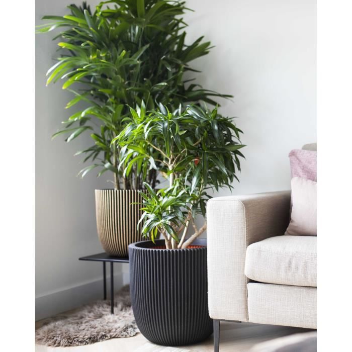 CAPI EUROPE Flower Pot RIB NL - 43 x 41 cm - Black