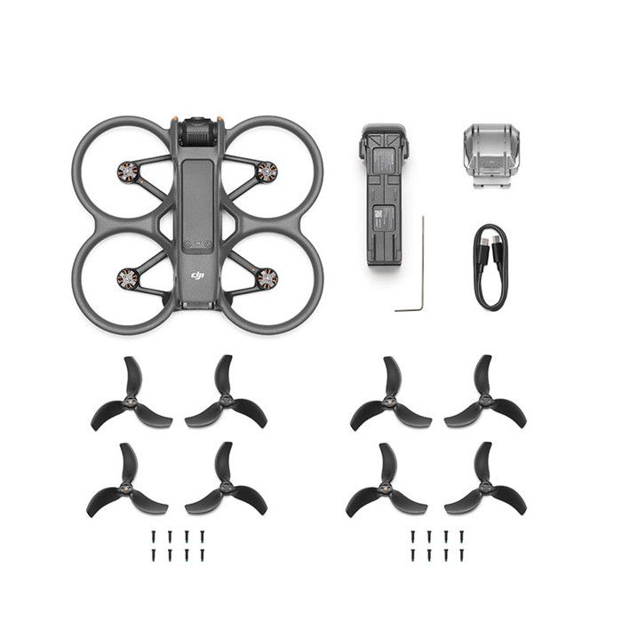 Drone - DJI - Avata 2 - 4K Camera - 25 Min Autonomy - Wi-Fi