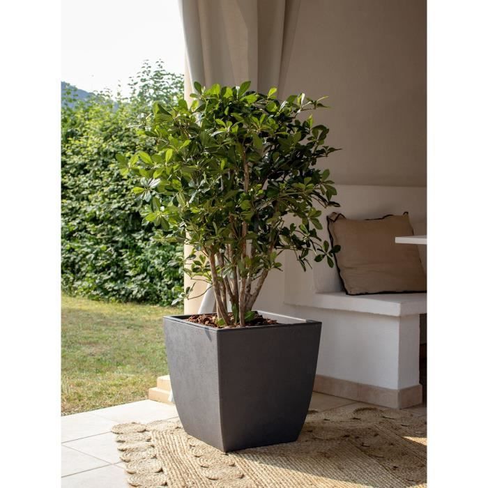 EDA Tall Square Flower Pot DIVA BASALT - Anthracite Grey - 43.5 x 43.5 x H.78.2 cm