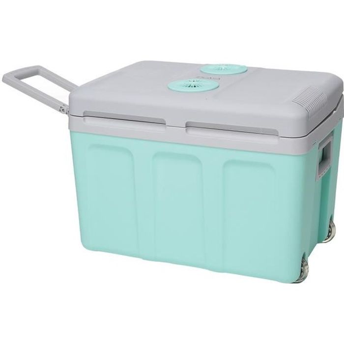 INCASA Thermoelectric Cooler - 40 L - 12/220V - Green