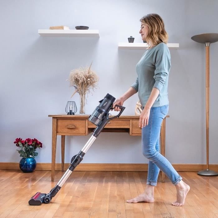 Cordless Stick Vacuum Cleaner - EZICLEAN Cycloboost FR15 Animal Made in France - 450 W - 80 min - 30 kPa - Black