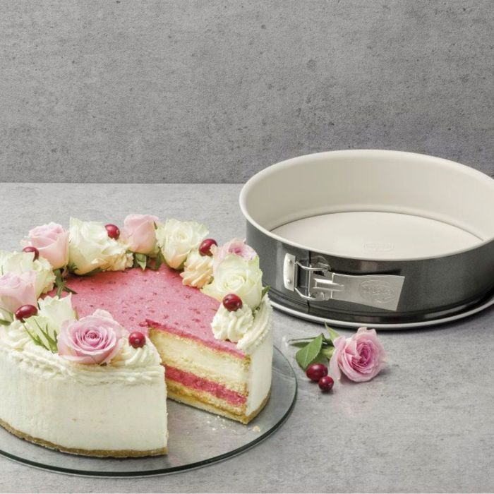 Dr. Oetker Springform Pan and Rectangular Pan Set - 28 cm and 28 x 18 cm