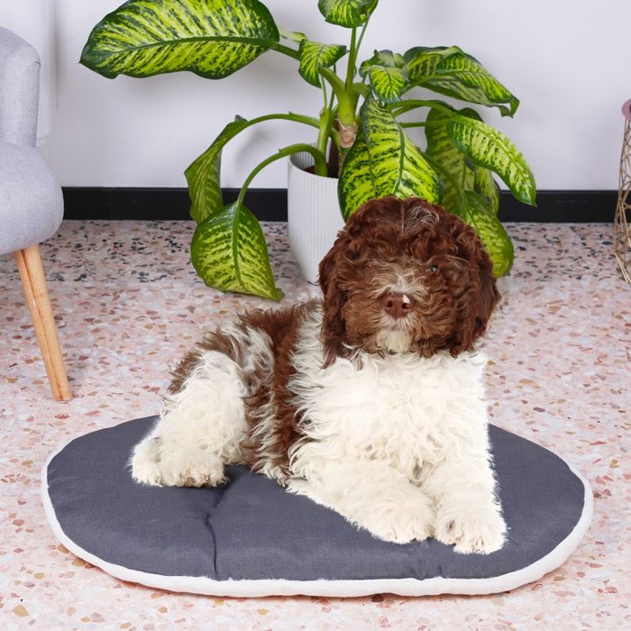 FERPLAST RELAX Cushion - 78x50cm - Fabric and Fur