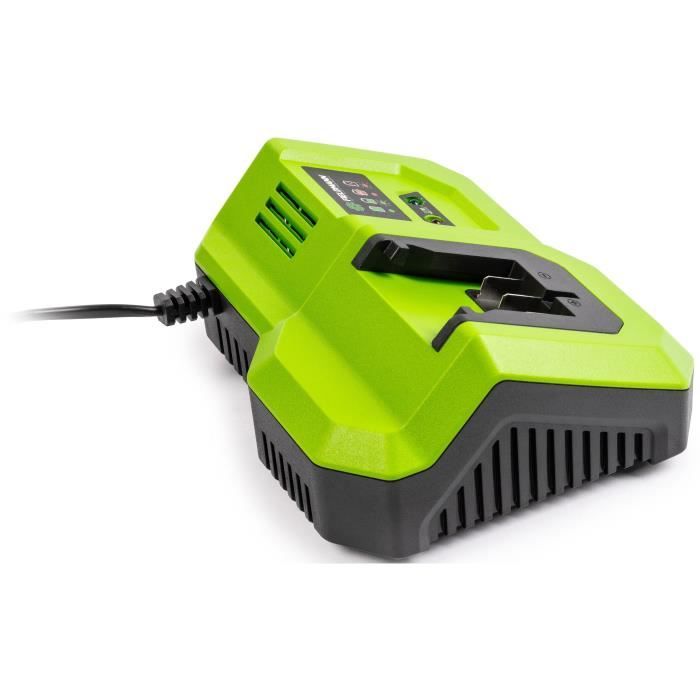 FIELDMANN Fast Charger for 20V Battery - Charges 2Ah in 30 Min