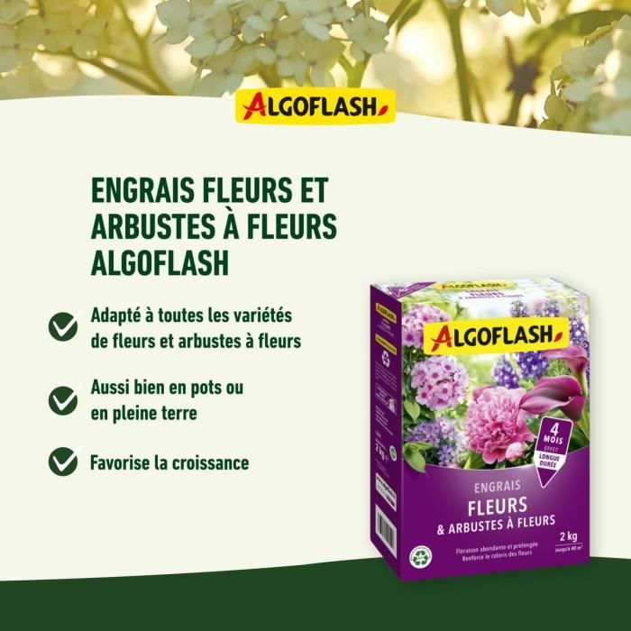 ALGOFLASH NATURASOL Flower Fertilizer - 2 kg - Enhances Flower Color