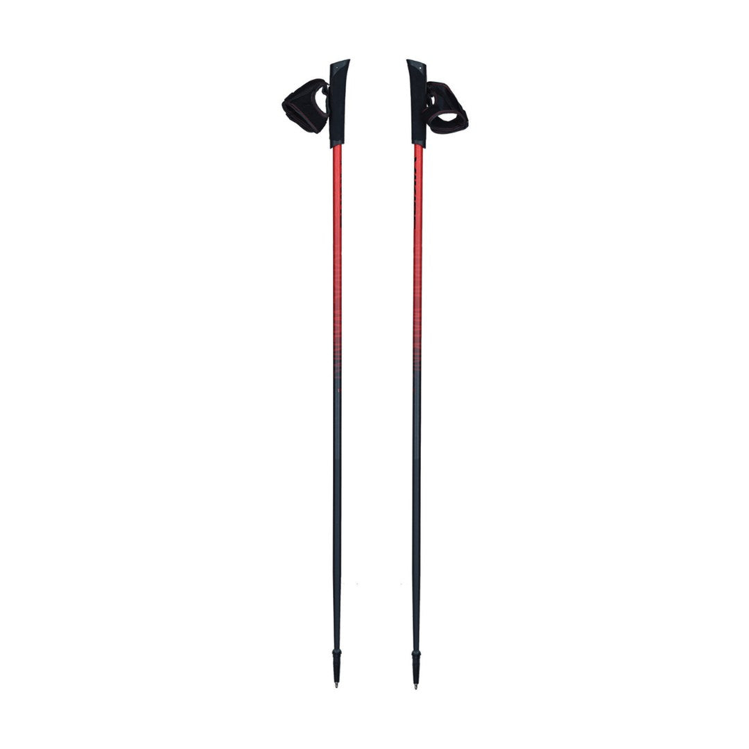 Viking Trekking Poles Pro-Trainer Nordic Walking - Model 650/20/7879/34/110