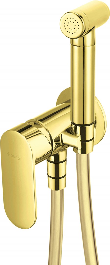 Deante Concealed Bidet Faucet with Bidetta Shower Head Gold BGA Z34M