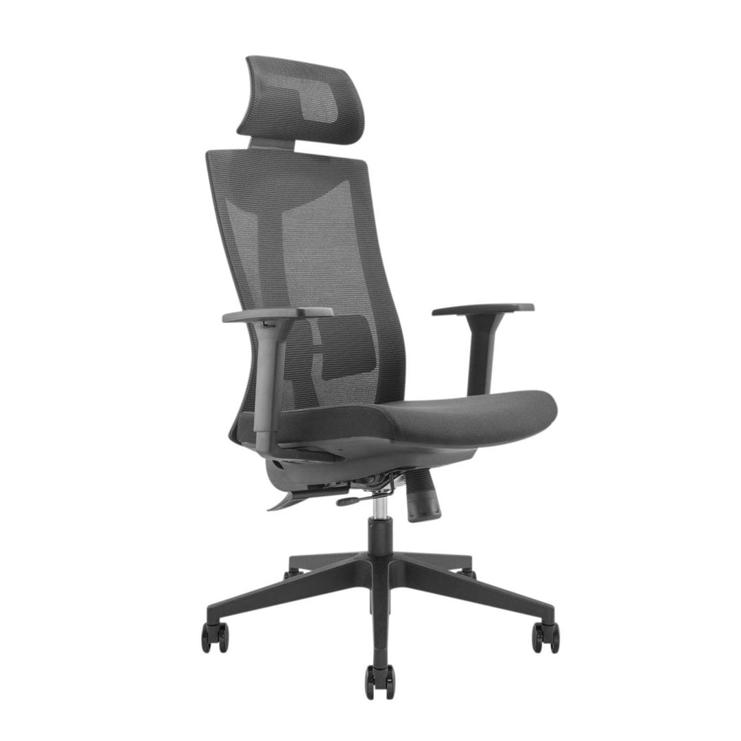 Premium ergonomic office chair with high backrest Ergo Office  max 150kg  ER-414