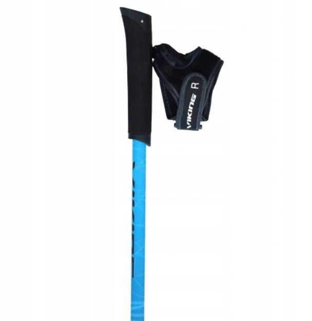 Viking Pro-Trainer Trekking Poles 115 cm Blue | Model 650/20/7879/15
