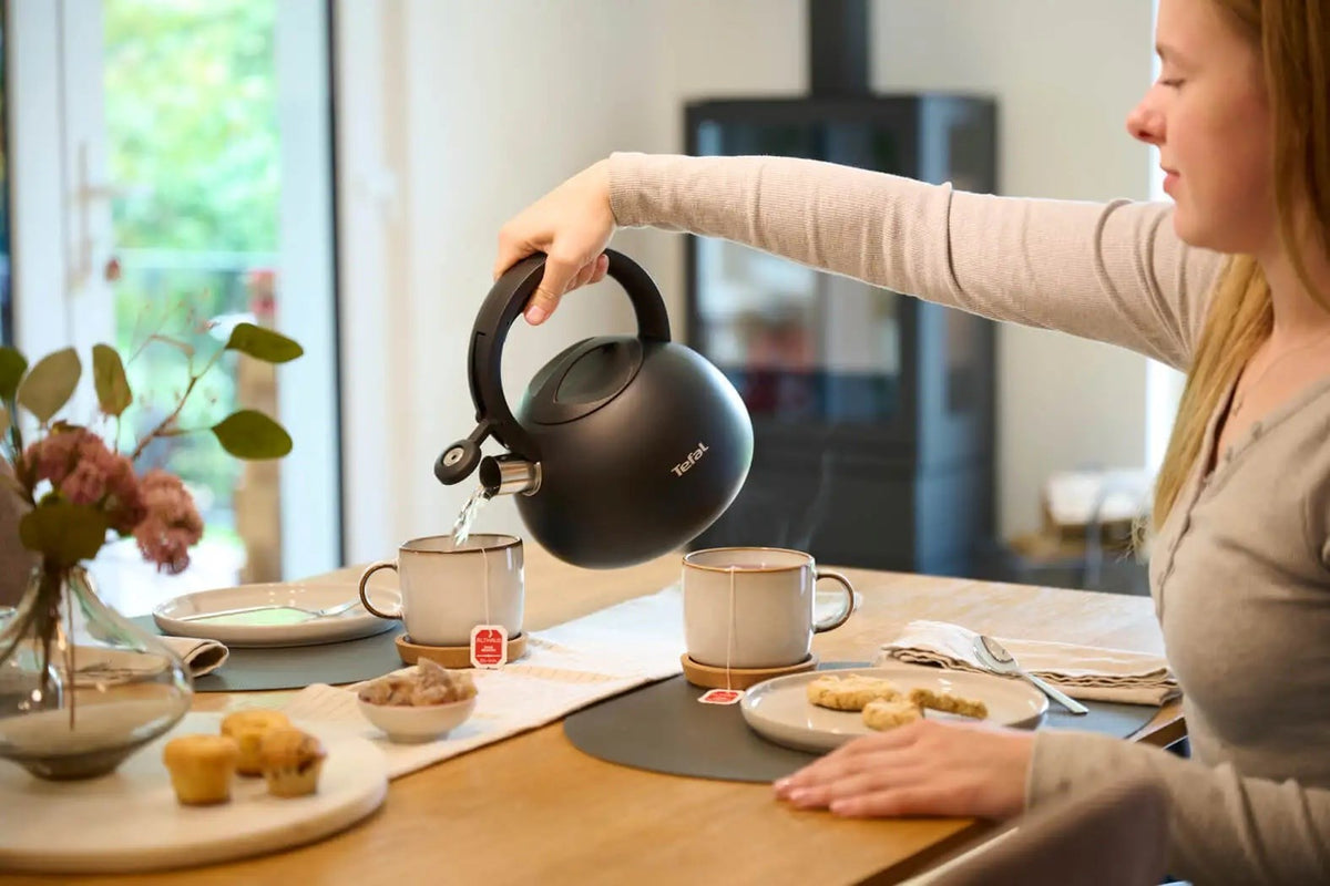 Non-Electric Kettle TEFAL N4180410  Black  Matte
