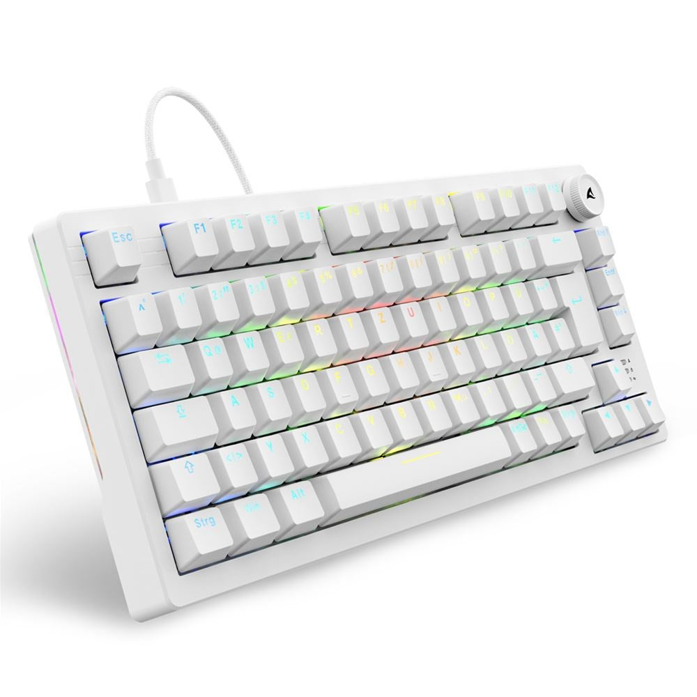Sharkoon SKILLER SGK25 Gaming Keyboard - White - DE Layout