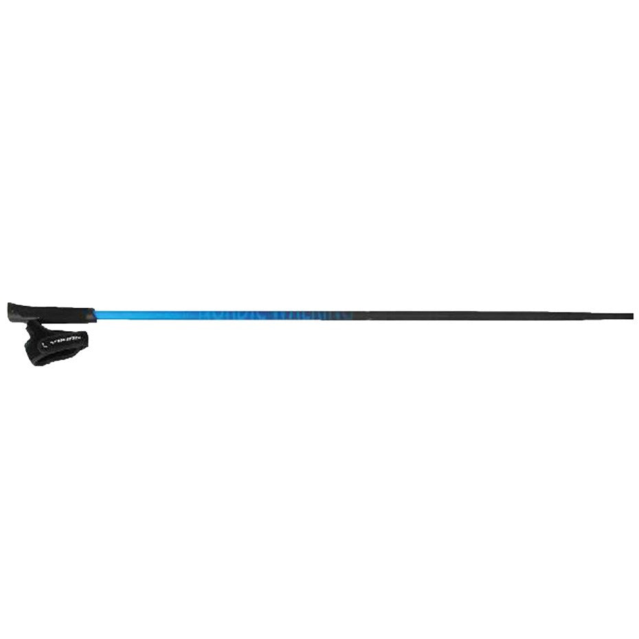 Nordic walking poles Viking Pro-Trainer blue 110