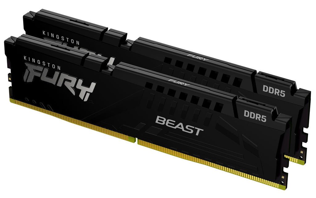 Kingston Technology FURY Beast Memory Module 16GB (2 x 8GB) DDR5 5600 MHz (KF556C36BBEK2-16)