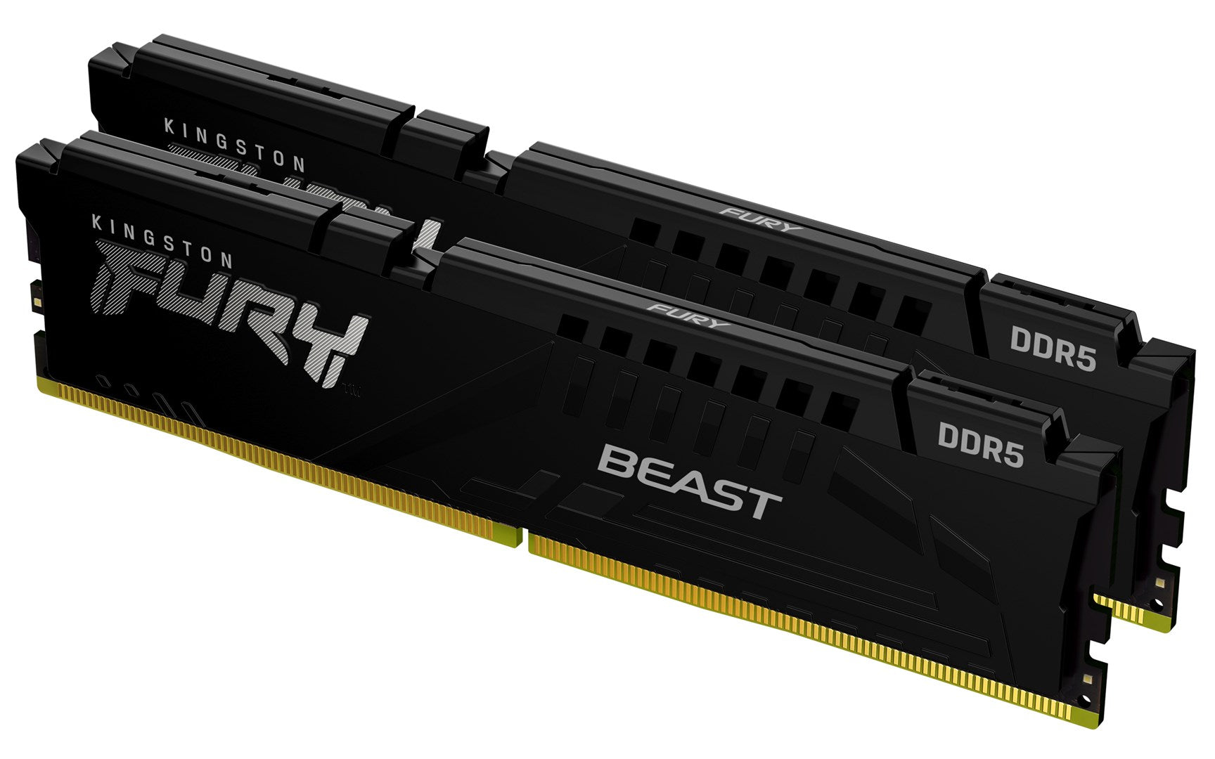 Kingston Technology FURY Beast Memory Module 16GB (2 x 8GB) DDR5 5600 MHz (KF556C36BBEK2-16)