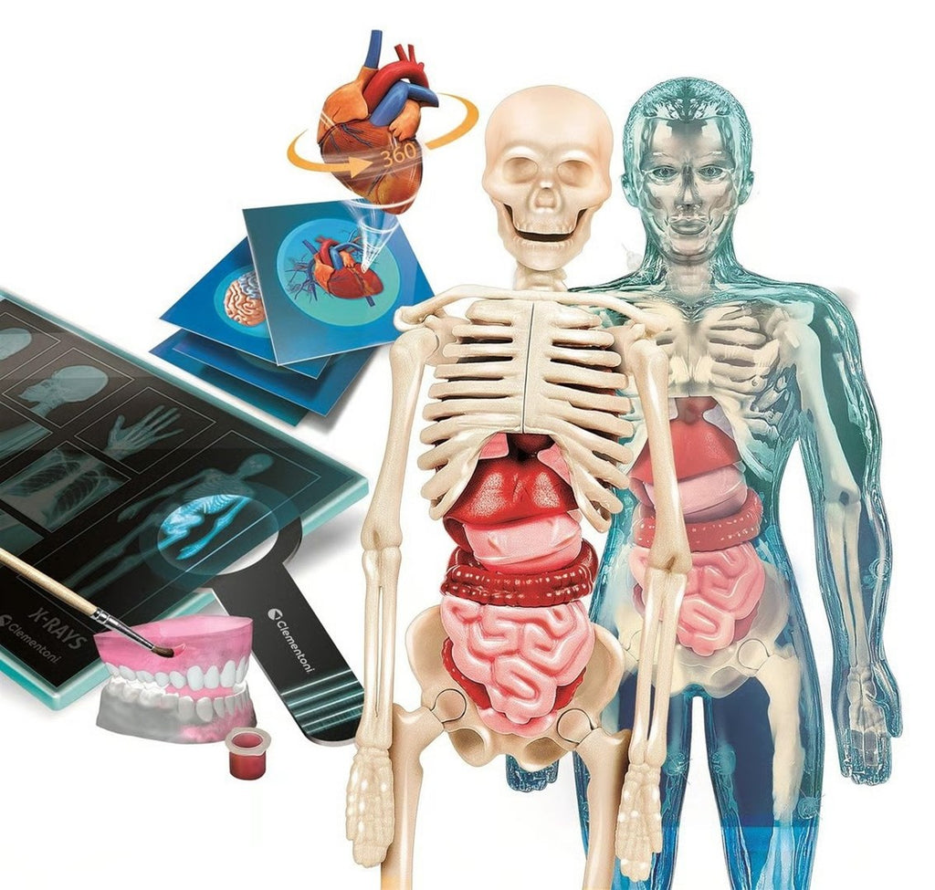 Clementoni Anatomy Education Kit for Ages 8+ - Super Anatomy Set - 310 mm x 450 mm x 75 mm - 1270 g