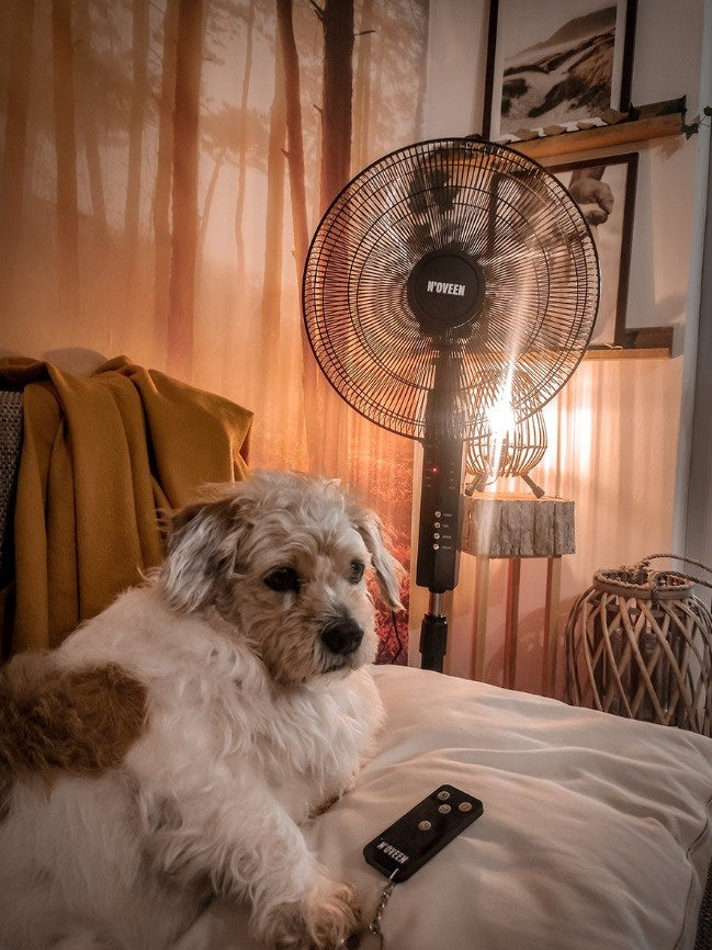 Pos 5 — EAN 5902221621475