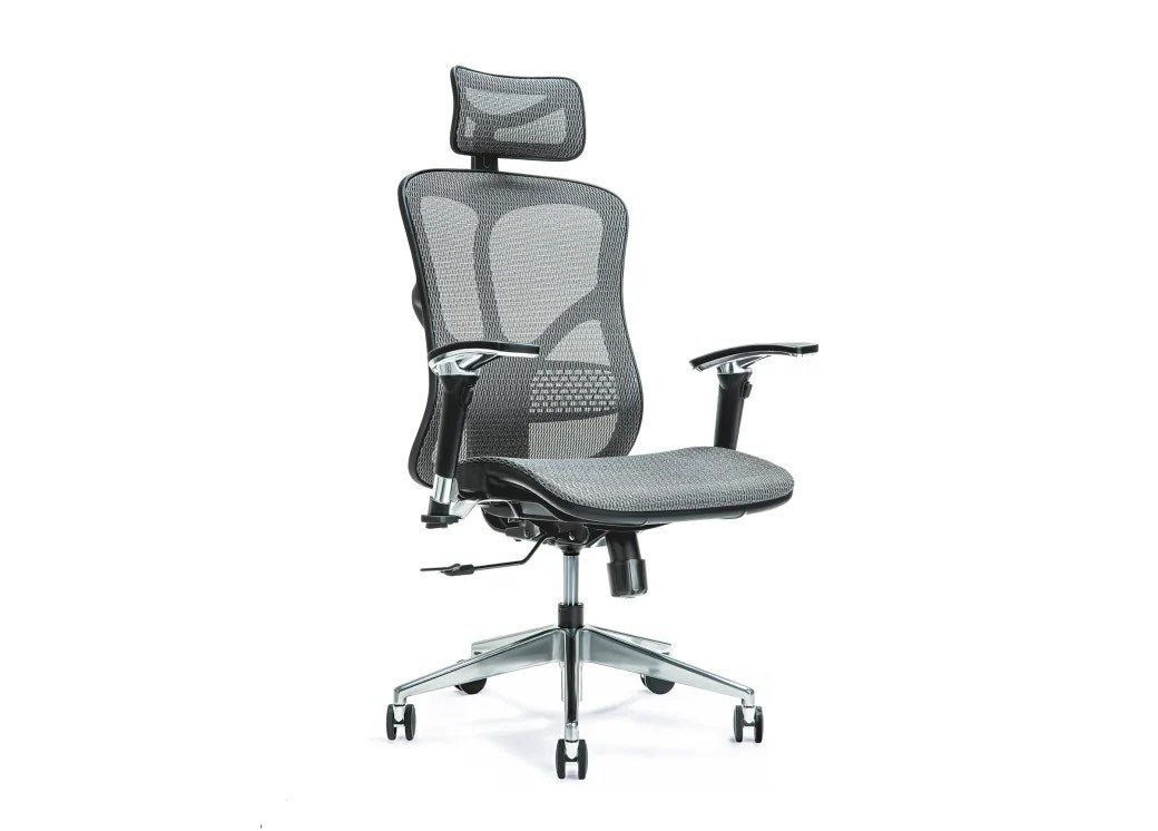 Ergonomic Office Chair ERGO 500 Grey